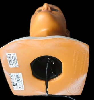 Schumacher Lampbust 1998 plastic by Malet Fecht (7951)